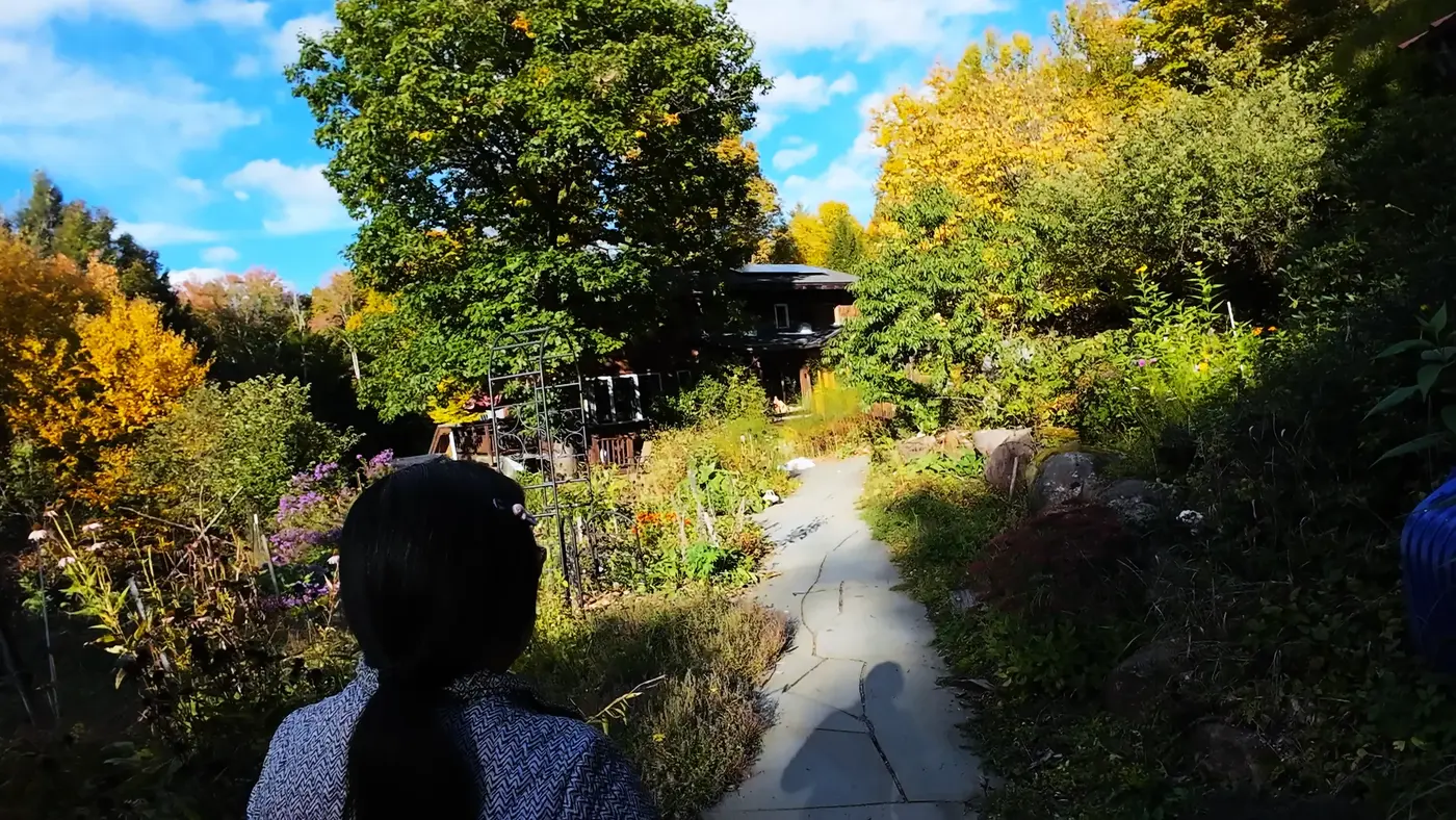 Small-town New Hampshire greenery near the