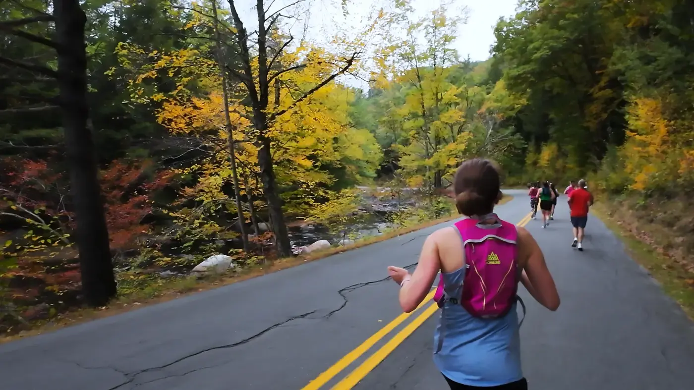 Shaded road through the New Hampshire