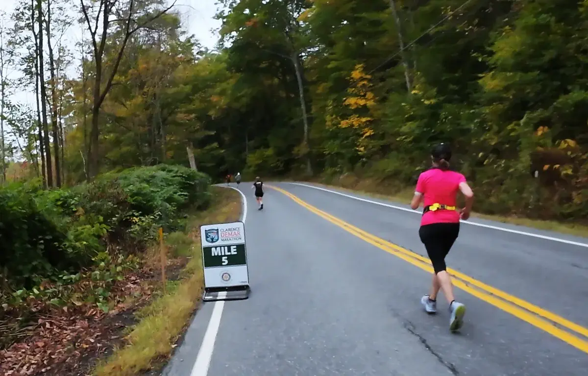 Mile 6 marker on the forest road