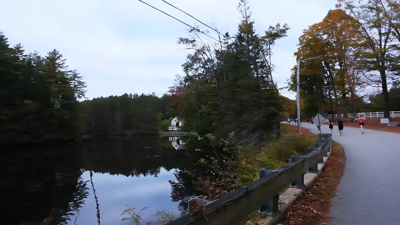 Water and trees beside the quiet road