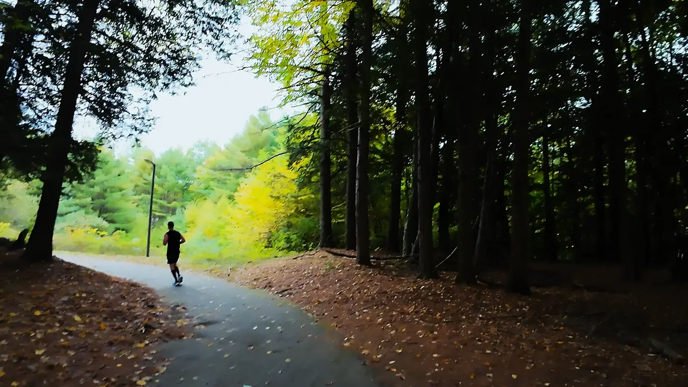 lone runner disappearing into the trees
