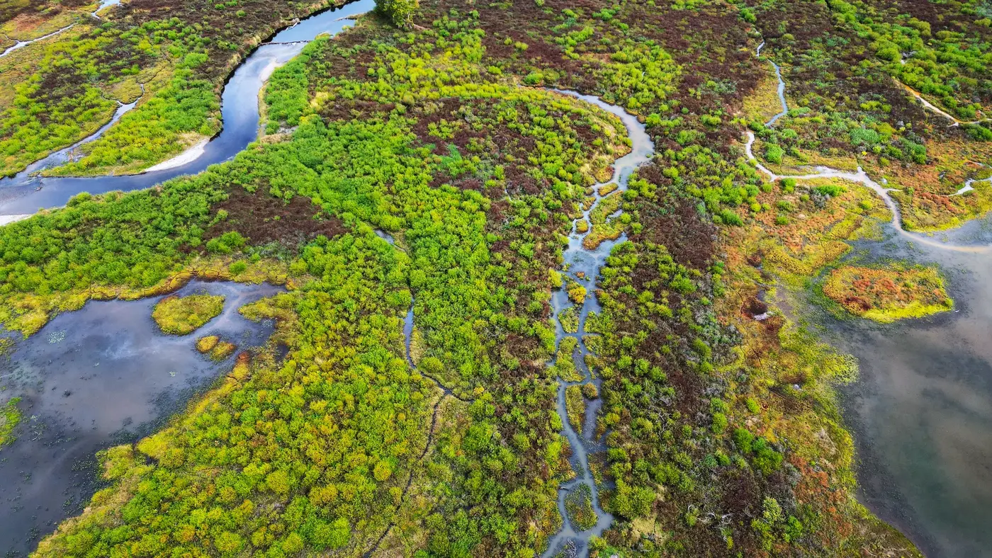 Wetland aerial
