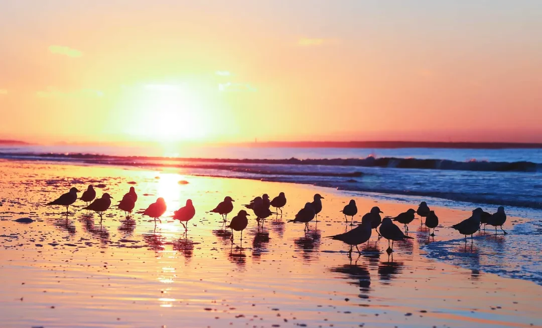 Oak Island, North Carolina story photo 6