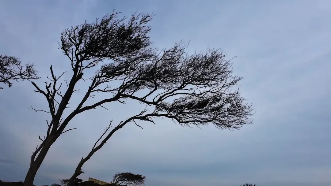 Oak Island, North Carolina story photo 49