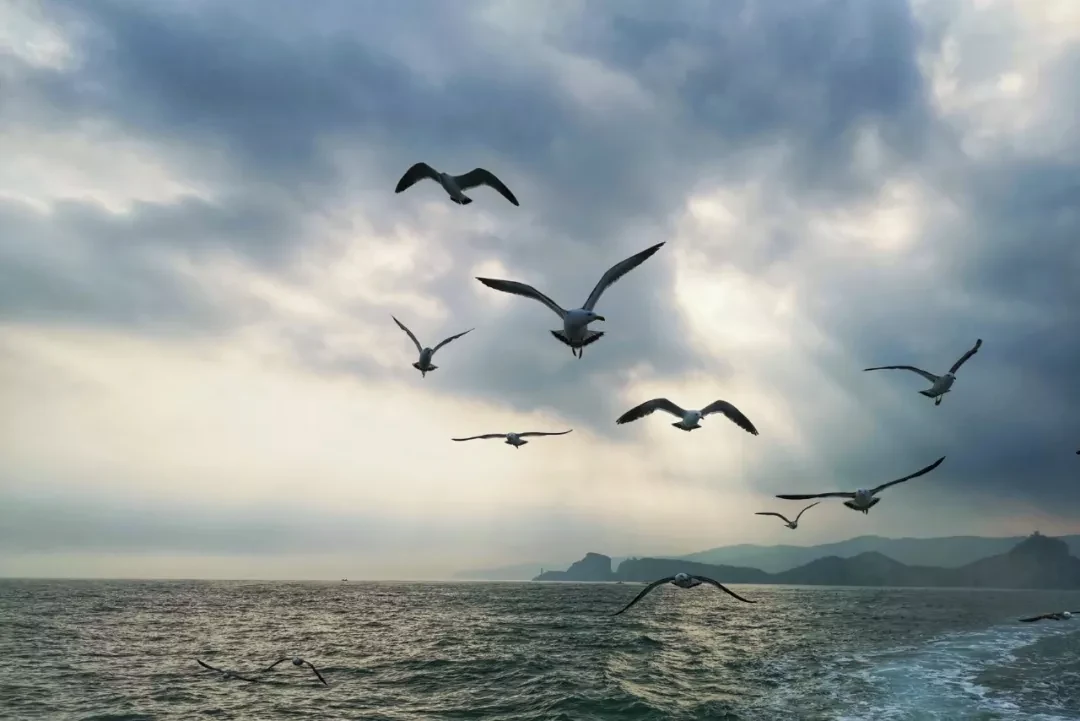 Dalian, Liaoning story photo 15