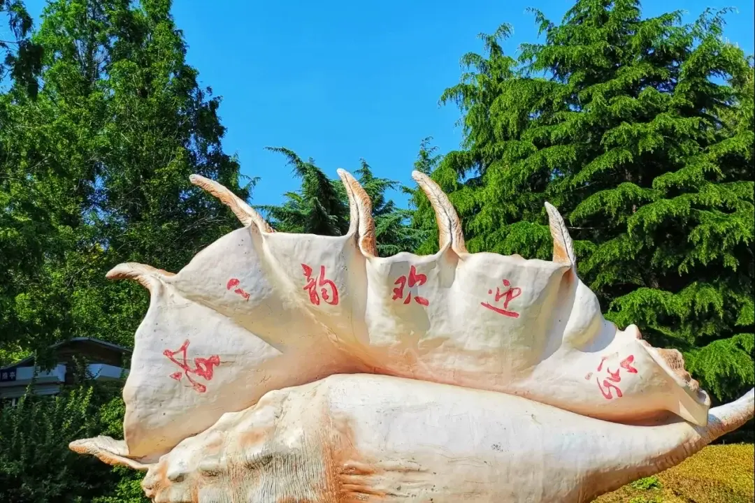 Dalian, Liaoning story photo 16