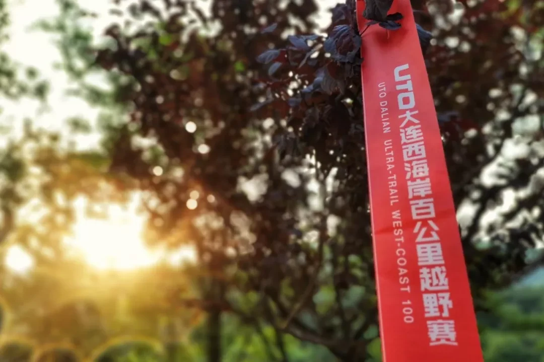 Dalian, Liaoning story photo 22