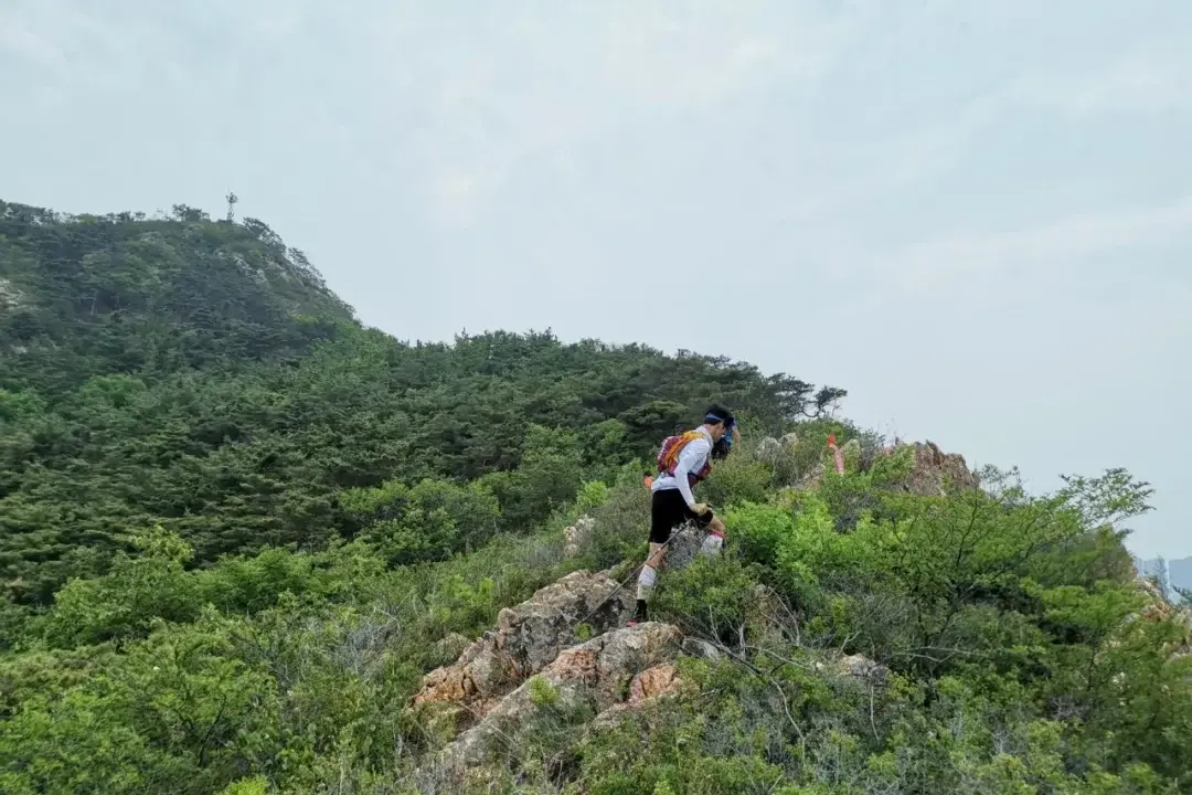 Dalian, Liaoning story photo 33