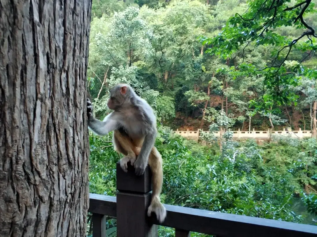 Guiyang, Guizhou story photo 42