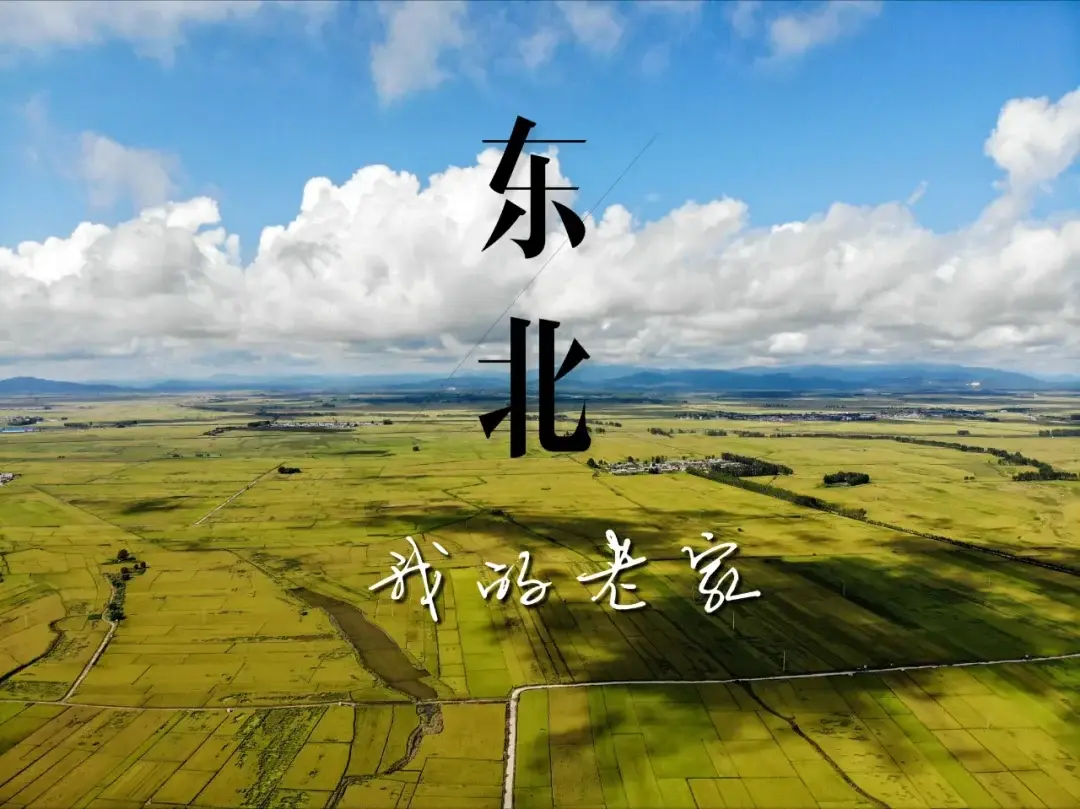 Harbin, Heilongjiang story photo 1