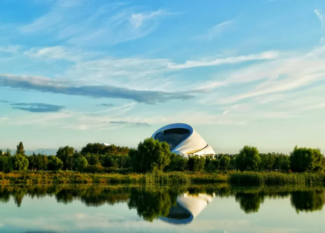 Harbin, Heilongjiang story photo 14