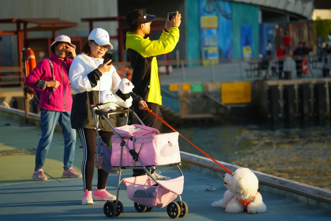 Hong Kong Streetathon photo 28
