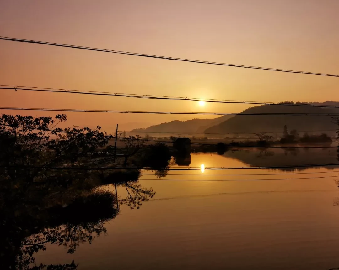 Dongqian Lake Morning Light by