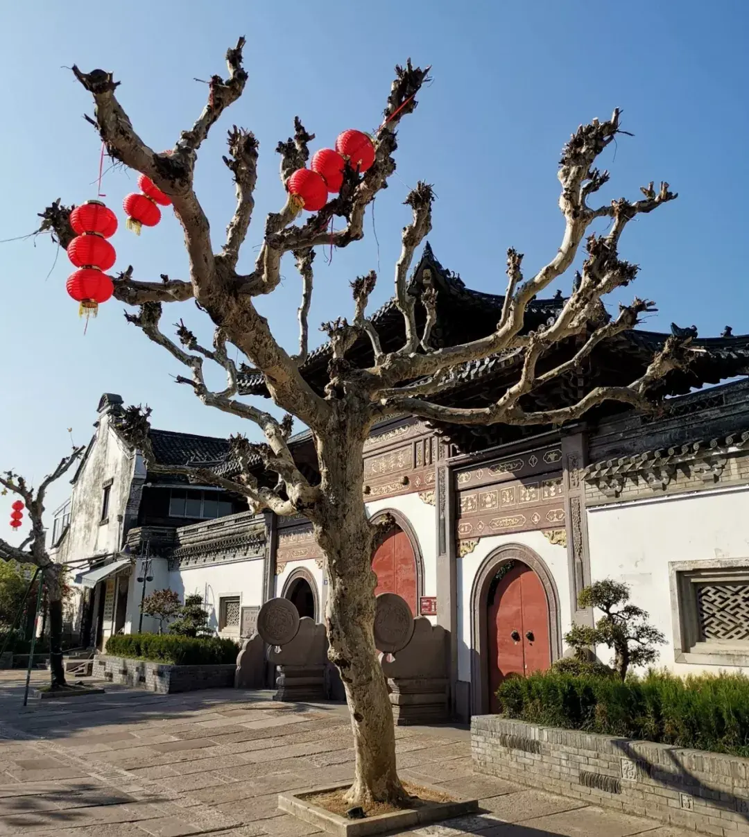 Fenghua Street Scene by