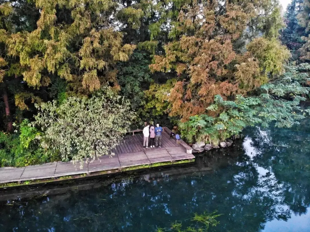 Hangzhou, Zhejiang story photo 9