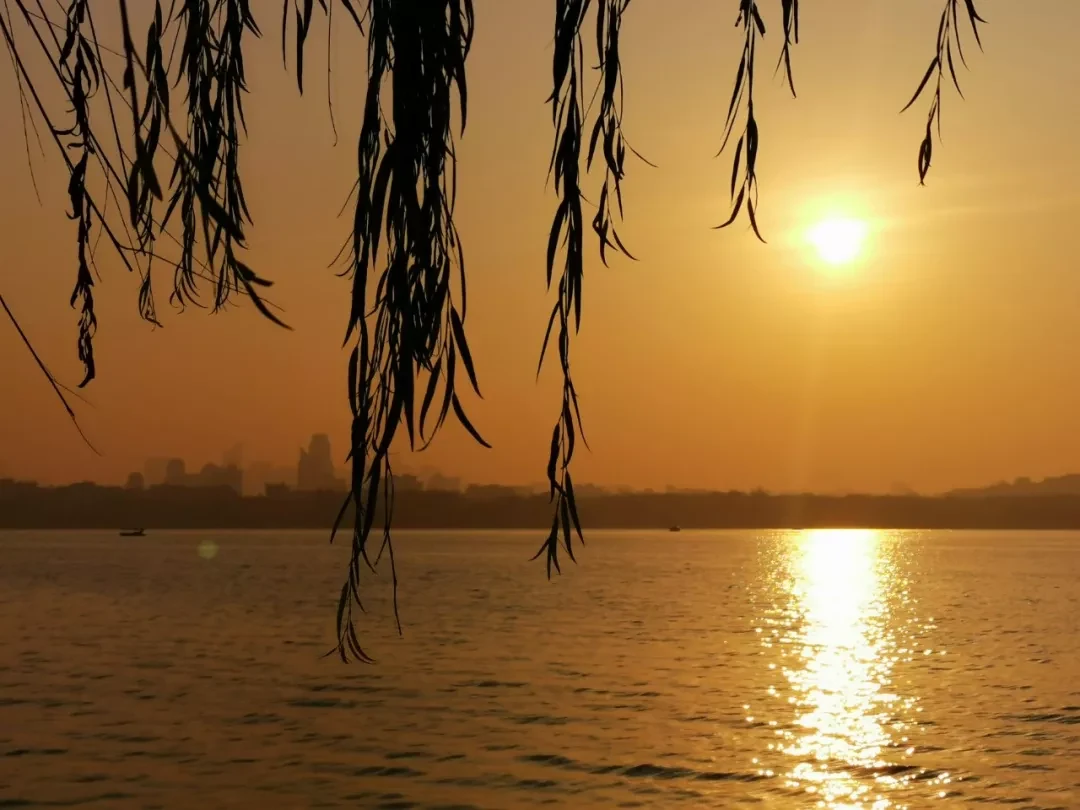 Hangzhou, Zhejiang story photo 26