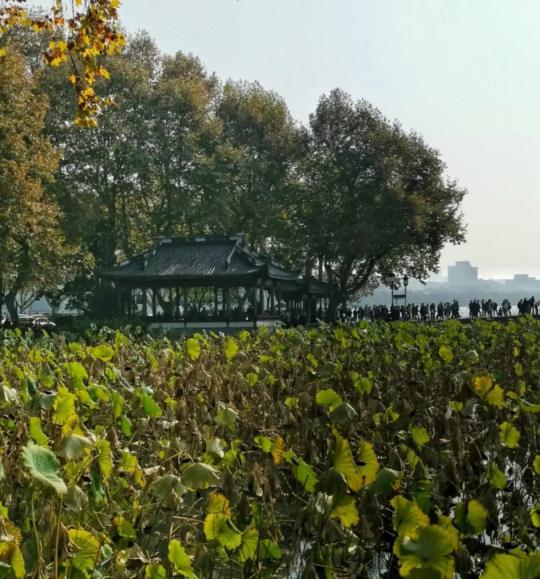 Hangzhou, Zhejiang story photo 37