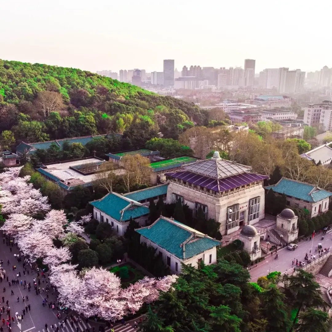 Wuhan, Hubei story photo 3
