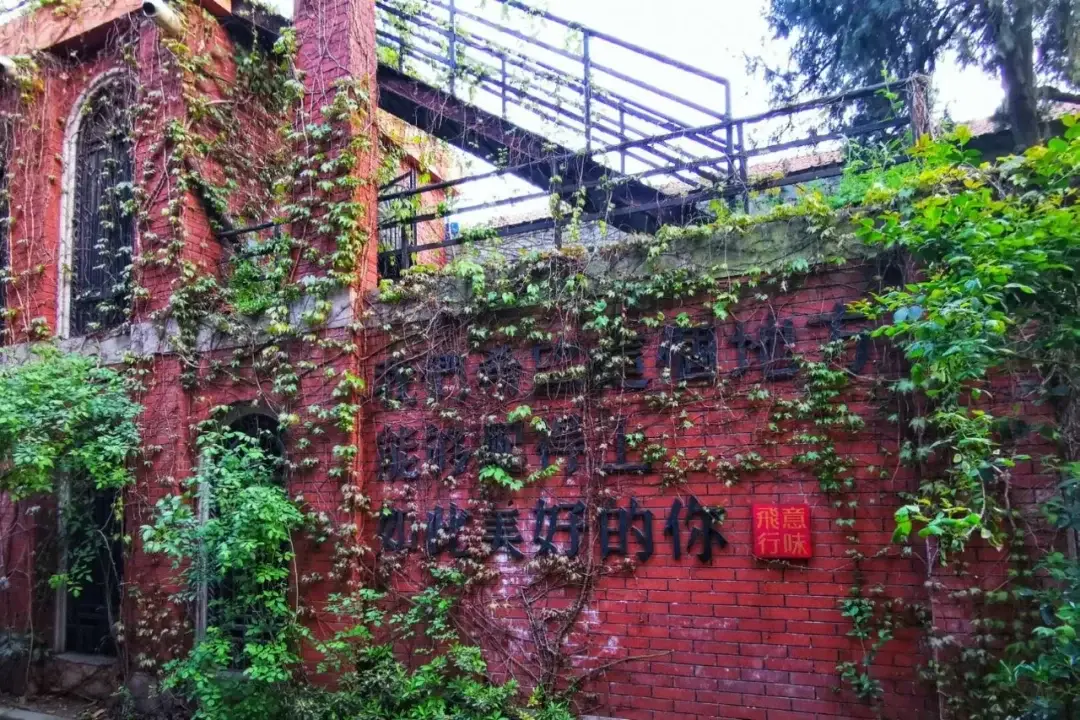 Wuhan, Hubei story photo 16