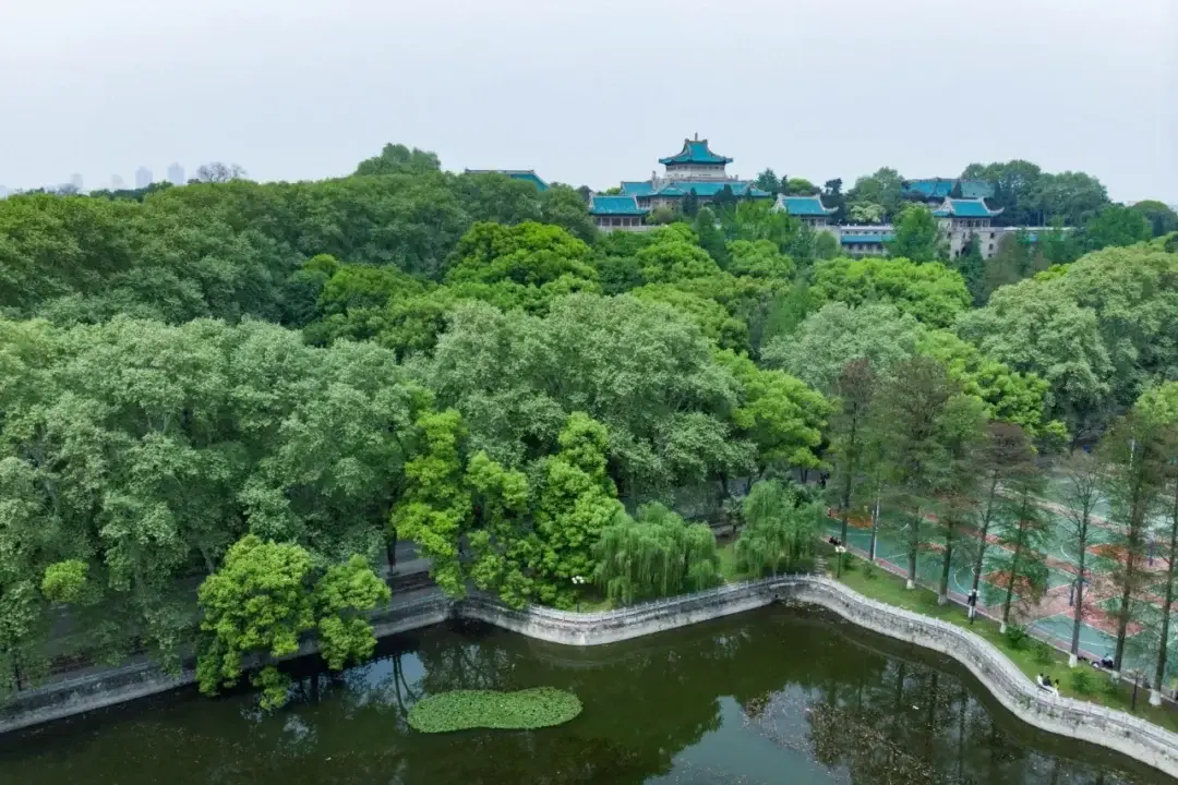 Wuhan, Hubei story photo 100