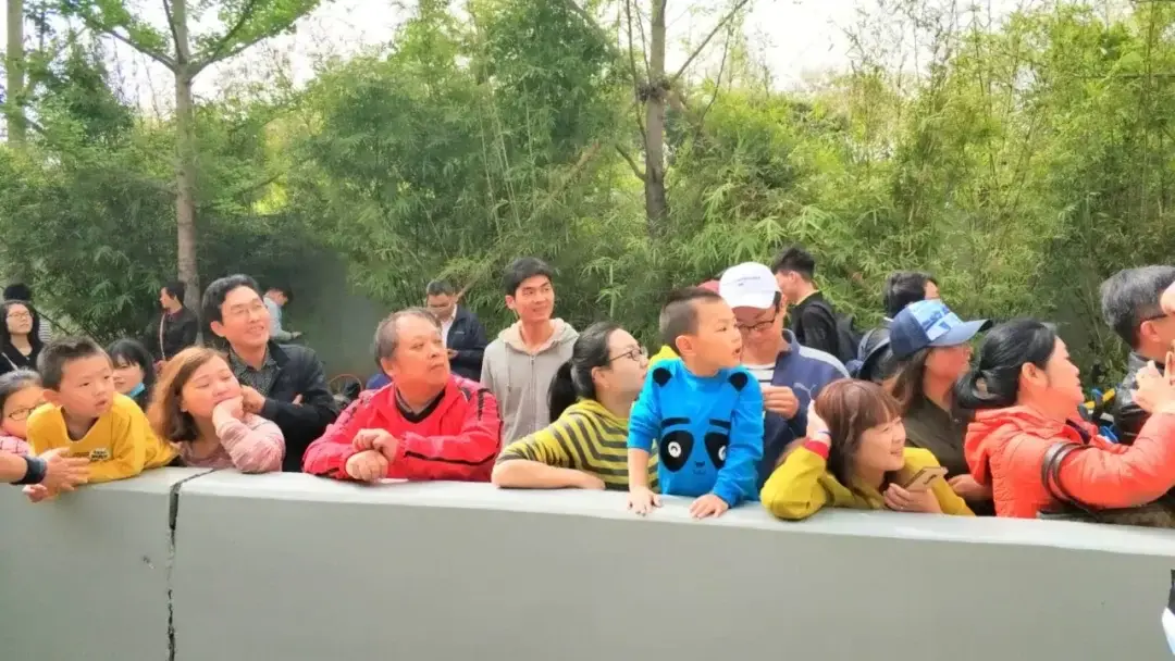 Wuhan, Hubei story photo 75