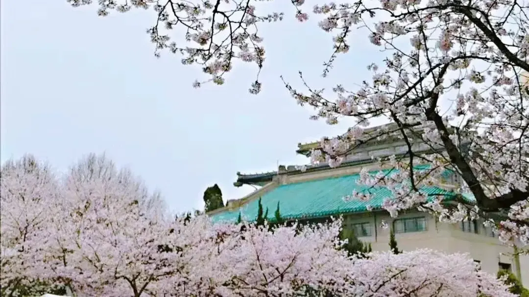 Wuhan / Wuxi story photo 6