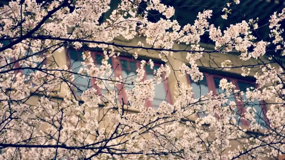 Wuhan / Wuxi story photo 8