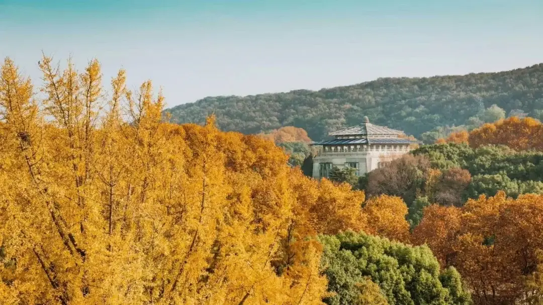 Wuhan / Wuxi story photo 10