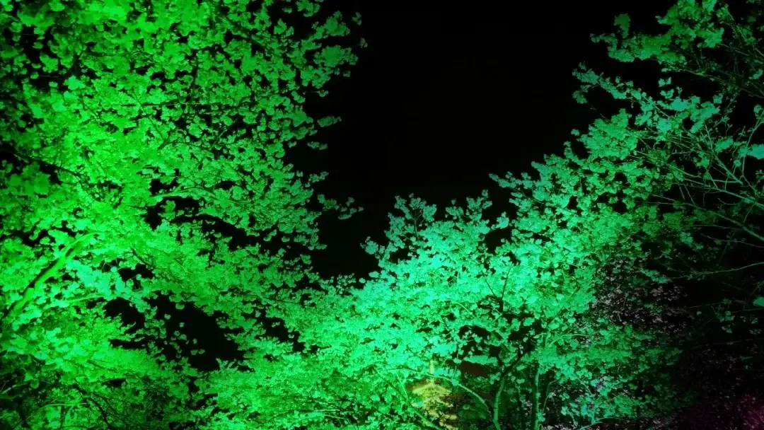Wuhan / Wuxi story photo 26
