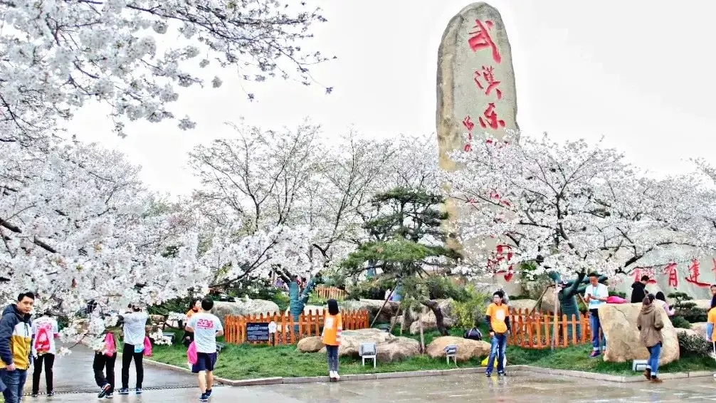 Wuhan / Wuxi story photo 38