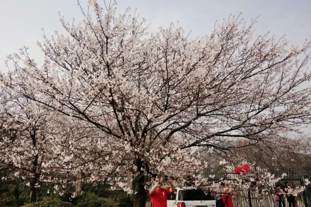 Wuhan / Wuxi story photo 60