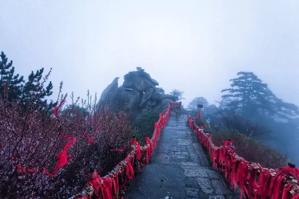 Xi'an, Shaanxi story photo 95