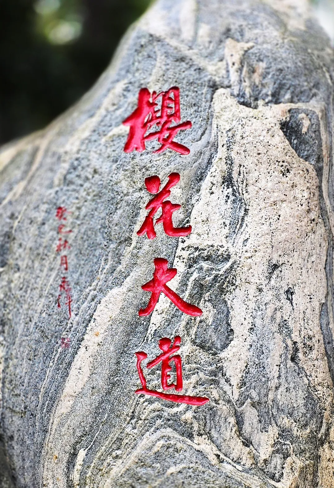 Xiangyang Marathon photo 23