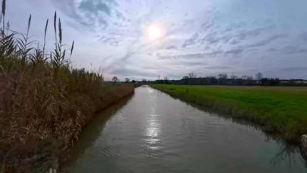 Piana di Pisa @Arsenan