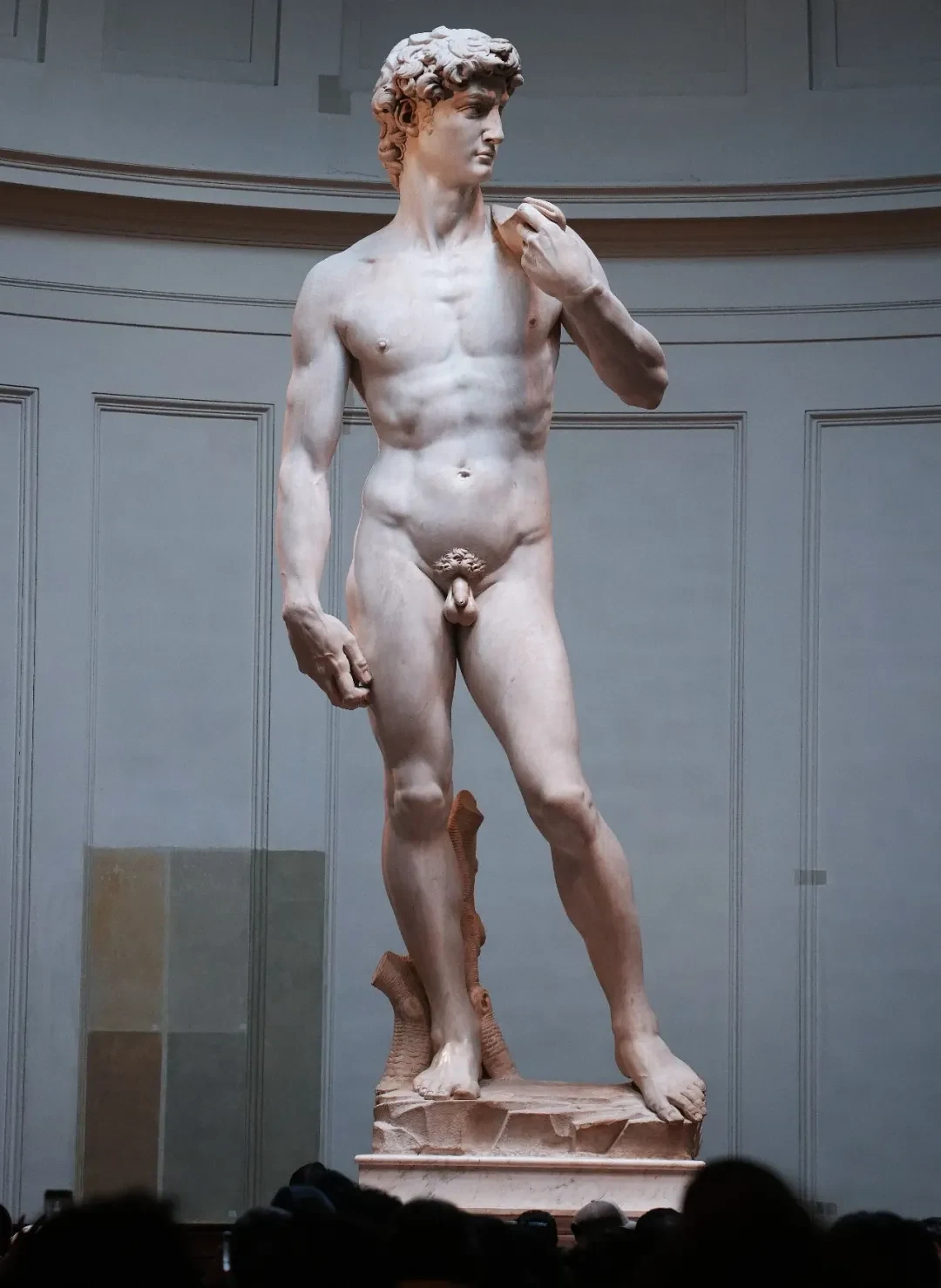 David (Michelangelo) @Arsenan