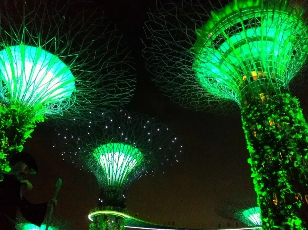 Singapore story photo 4