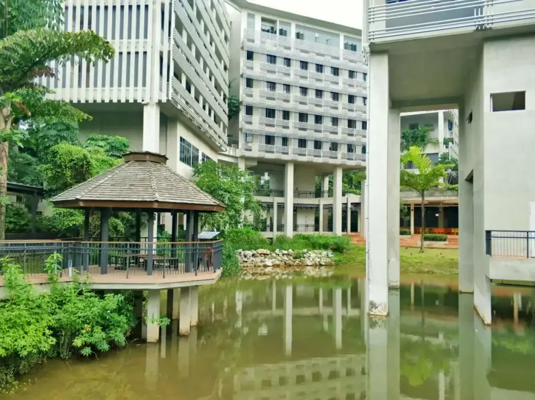 Singapore story photo 51
