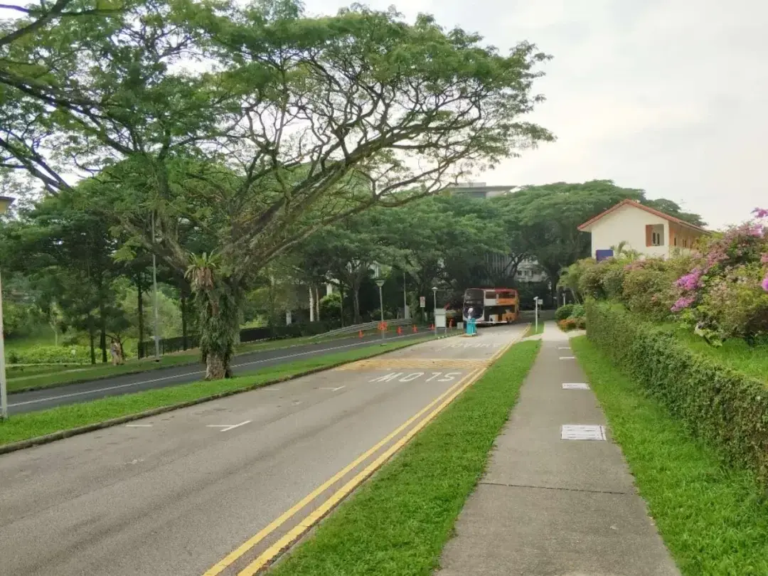 Singapore story photo 52