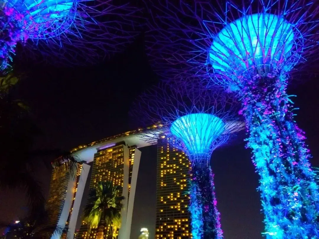Singapore story photo 66