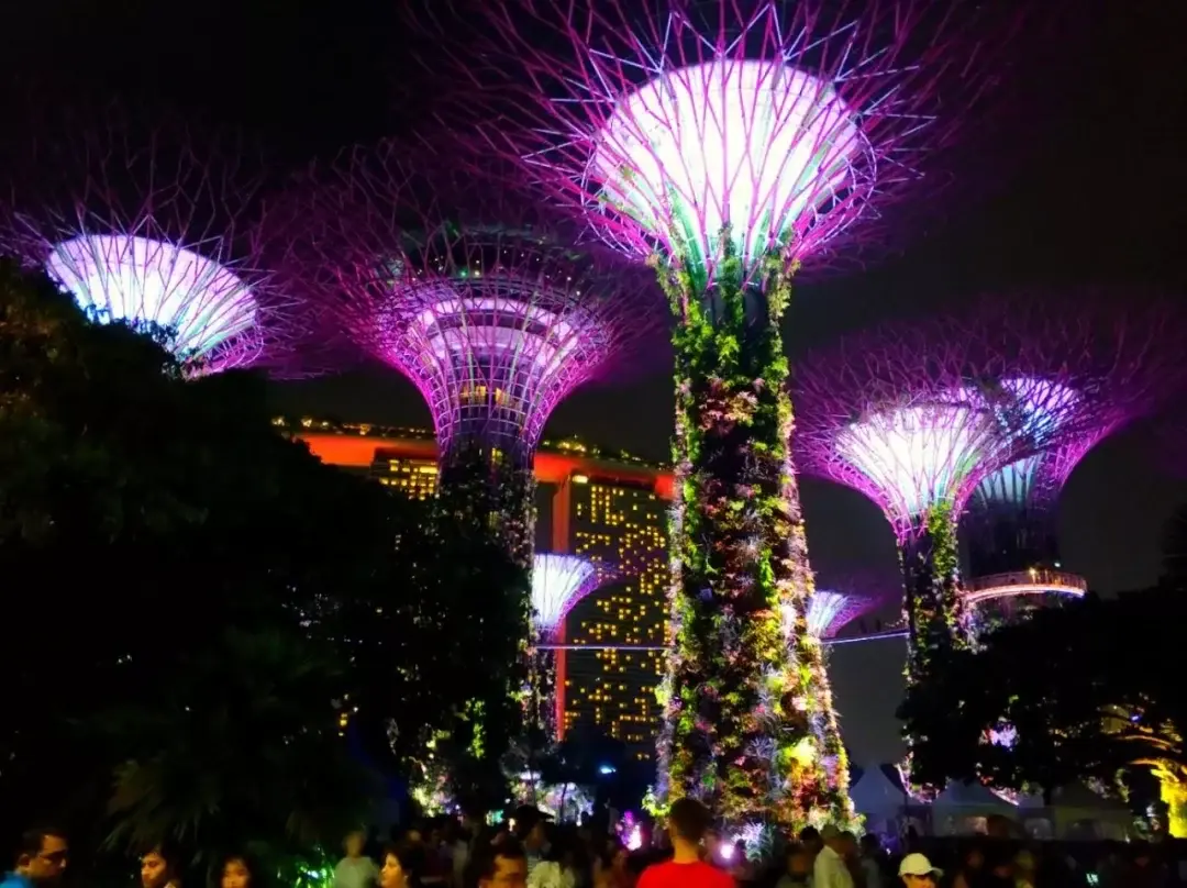 Singapore story photo 67