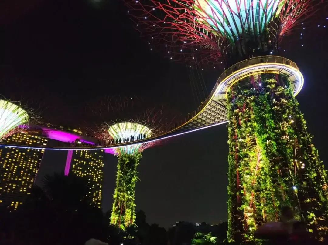 Singapore story photo 69
