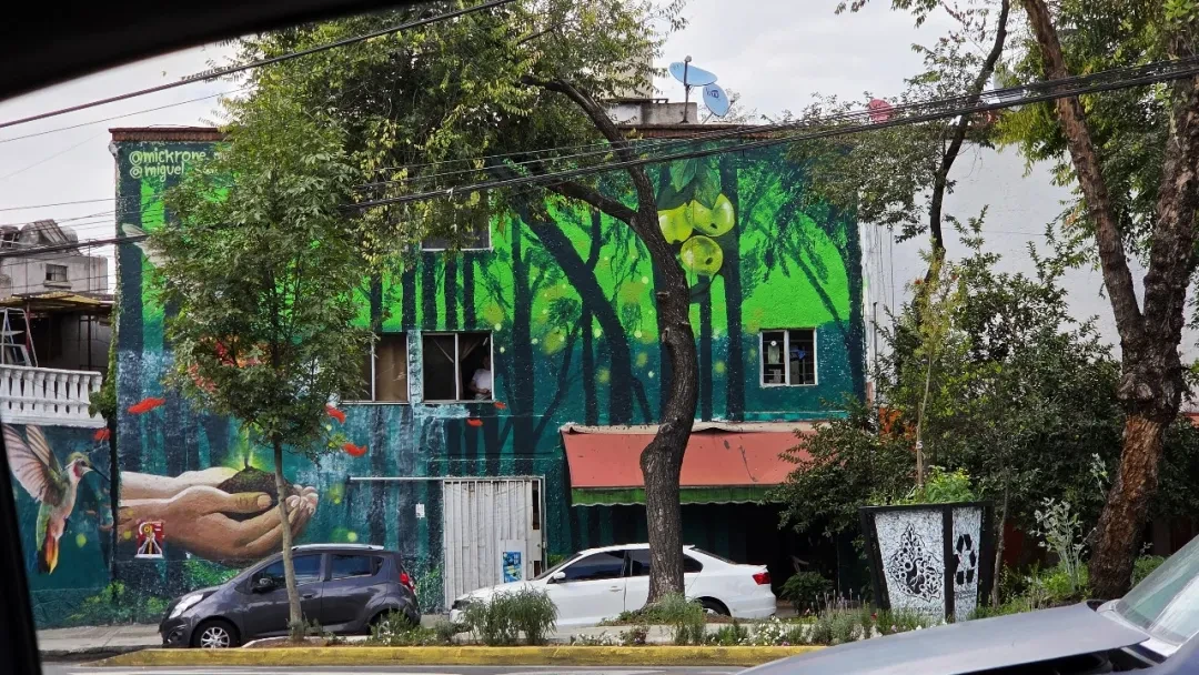 CDMX Graffiti @Arsenan