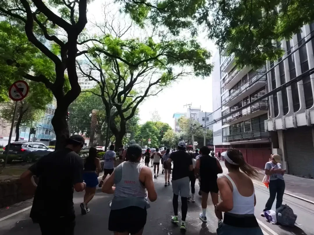 CDMX Marathon @Arsenan