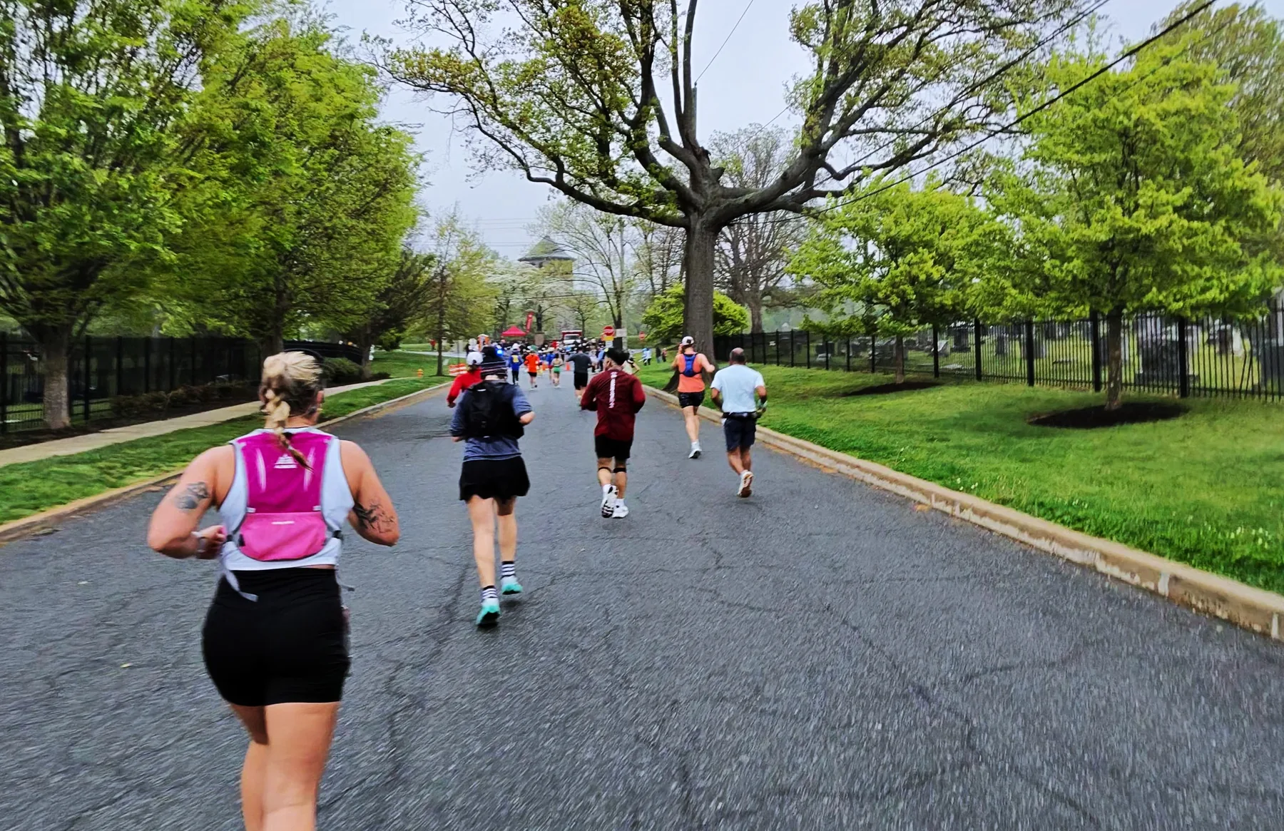 Runners on a tree-lined boulevard