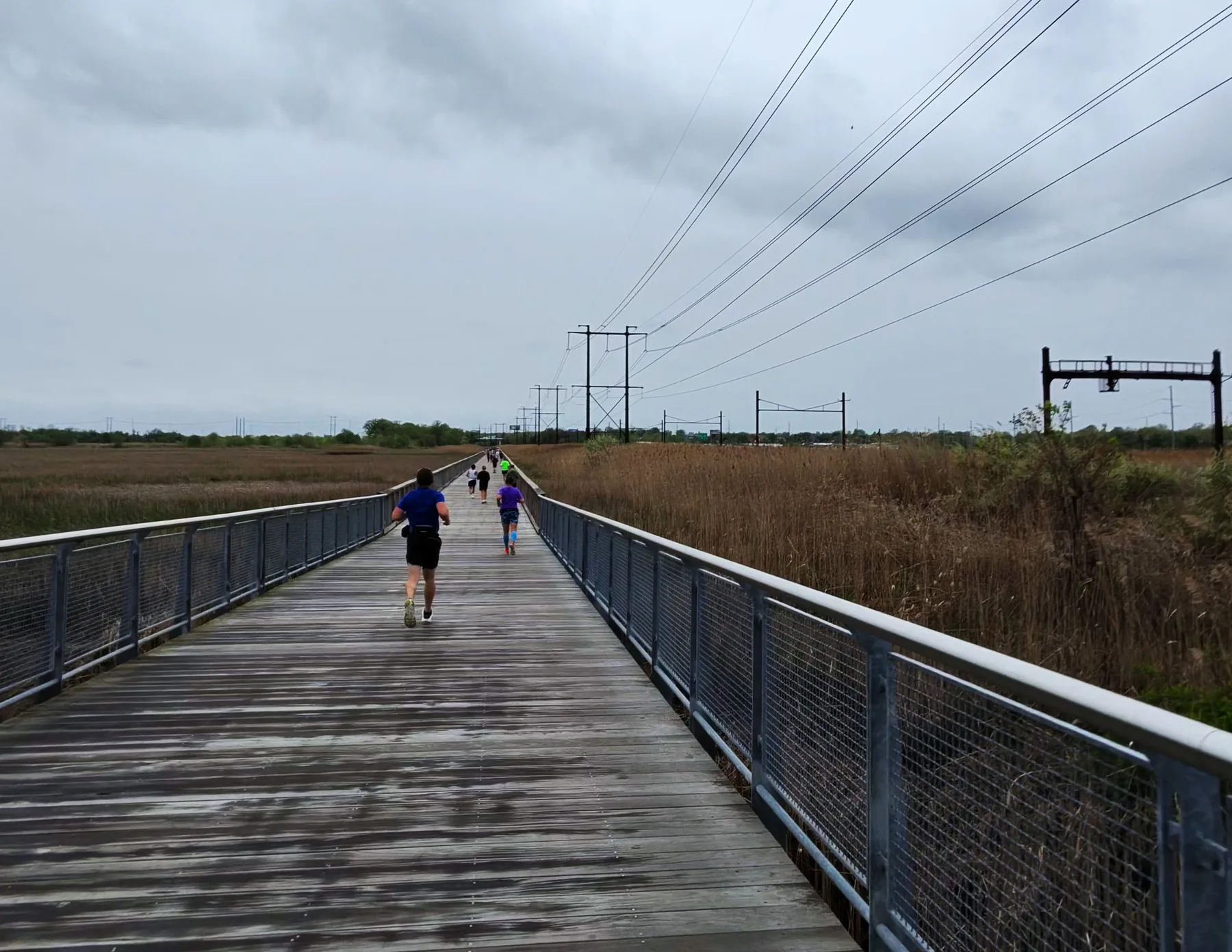 Long boardwalk through the woods