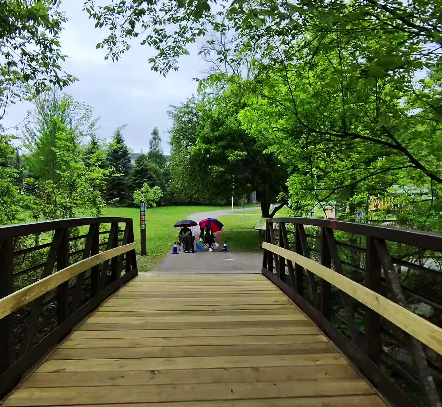 Wooden bridge on the race course